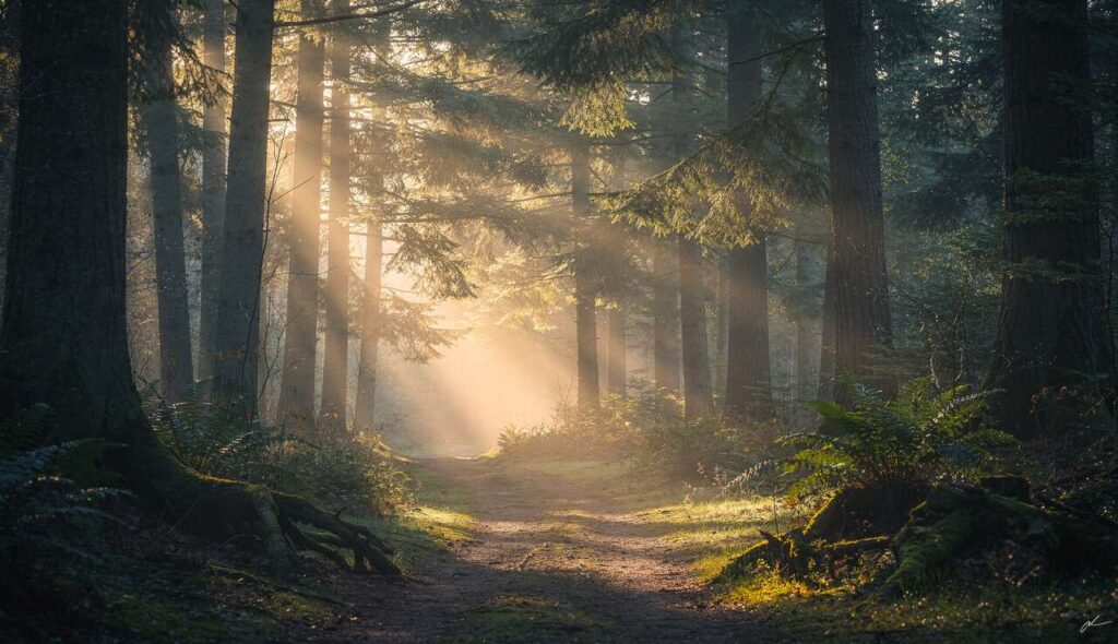 Chi preferisce il silenzio al rumore possiede questi tratti rari, secondo la psicologia